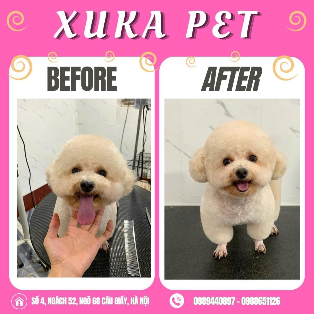 [🆕🇻🇳] Xuka Pet – Tiệm Làm Đẹp Thú Cưng 🐶🦜 Top1Pets 🐱🐠 Có những ngày boss lông rối, mặt mũi ngơ ngác nhìn sen…
Là lúc tụi mình biết: tới Xuka Pet thôi!!Em pé ngoan xinh iu quá lun ạ
————————- , shares-0✔️ , likes-7❤️️ , date-2025-08-15 21:55:36🐶🐱🇻🇳🇻🇳🇻🇳📰🆕