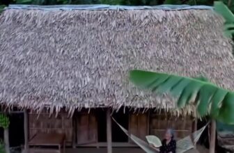 [🆕🇻🇳] Ký ức tuổi thơ ♥️️ Top1Life 🌱  Nhớ Bà… , shares-0✔️ , likes-0❤️️ , date-2025-08-16 02:42:40🇻🇳🇻🇳🇻🇳📰🆕