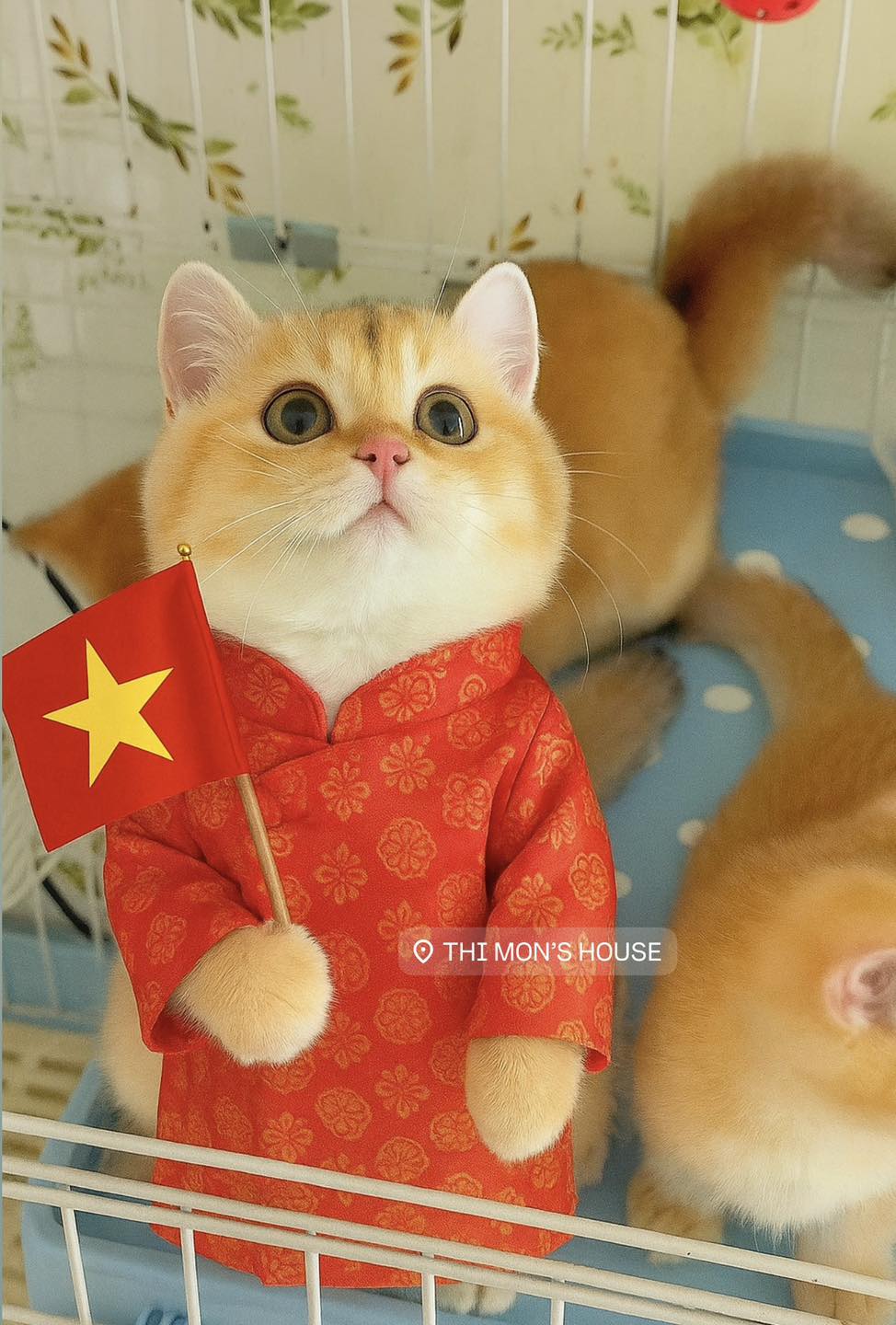 [🆕🇻🇳] HOME PET Clinic – Thú Y 24h Đà Nẵng 🐶🦜 Top1Pets 🐱🐠  Chúng mình tiêm phòng để phòng ngừa bệnh,  điều trị để các boss nhanh chóng khỏe mạnh,  và chăm sóc hậu phẫu để bé hồi phục an toàn nhất.
Cảm ơn các “sen” , shares-2✔️ , likes-6❤️️ , date-2025-08-17 02:42:04🐶🐱🇻🇳🇻🇳🇻🇳📰🆕