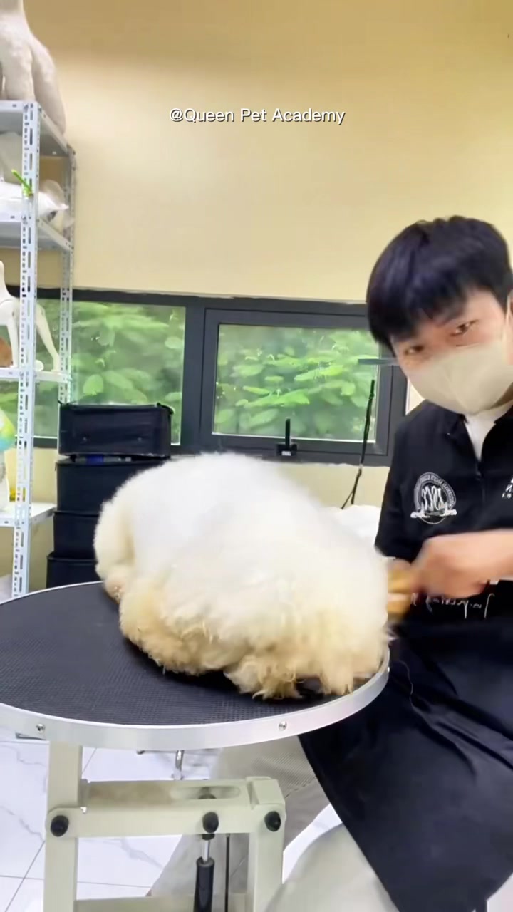 [🆕🇻🇳] Ký ức tuổi thơ ♥️️ Top1Life 🌱  Lối thu xưa… , shares-0✔️ , likes-675❤️️ , date-2025-08-18 01:54:08🇻🇳🇻🇳🇻🇳📰🆕