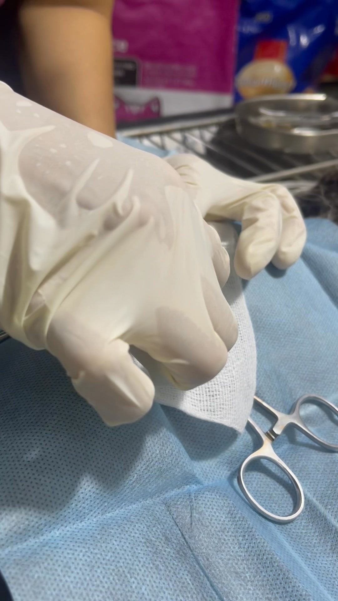 [🆕🇻🇳] Bệnh Viện Thú Y Tây Bắc 🐶🦜 Top1Pets 🐱🐠 Lấy dị vật tiêu hoá cho em bé mèo 3 tháng tuổi háu ăn. Bé ăn cả hạt ô mai làm tắc ruột luôn.Bệnh viện thú y Tây Bắc
Đc: 832, đường Yên Ninh, Phường Yên , shares-0✔️ , likes-0❤️️ , date-2025-08-19 15:23:58🐶🐱🇻🇳🇻🇳🇻🇳📰🆕