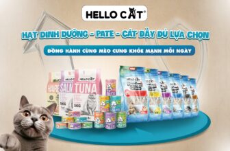 [🆕🇻🇳] Hello PetFood Việt Nam – Nhà phân phối thức ăn cho chó mèo – Pate dành cho chó và mèo 🐶🦜 Top1Pets 🐱🐠  Hellocat – Trọn bộ sản phẩm chăm sóc mèo yêu toàn diện
Nuôi mèo không chỉ là cho ăn, mà là mang đến cho “boss” một cuộc sống khỏe mạnh, thoải mái và tràn , shares-0✔️ , likes-1❤️️ , date-2025-08-20 23:07:10🐶🐱🇻🇳🇻🇳🇻🇳📰🆕