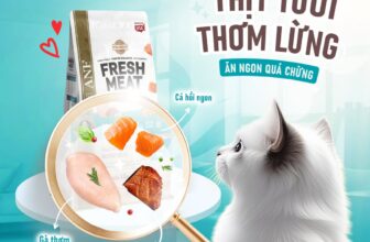 [🆕🇻🇳] ANF Việt Nam – Thức ăn cao cấp dành cho chó mèo sản xuất tại Hàn Quốc 🐶🦜 Top1Pets 🐱🐠 Làm sen khó lắm, phải đâu chuyện đùa
Mua hạt ngon đấy – nhưng phải hợp vị boss cơ!Dành hết tâm huyết tìm hiểu và lựa chọn hạt, chỉ mong mèo cưng có nhữn , shares-1✔️ , likes-18❤️️ , date-2025-08-18 23:04:23🐶🐱🇻🇳🇻🇳🇻🇳📰🆕