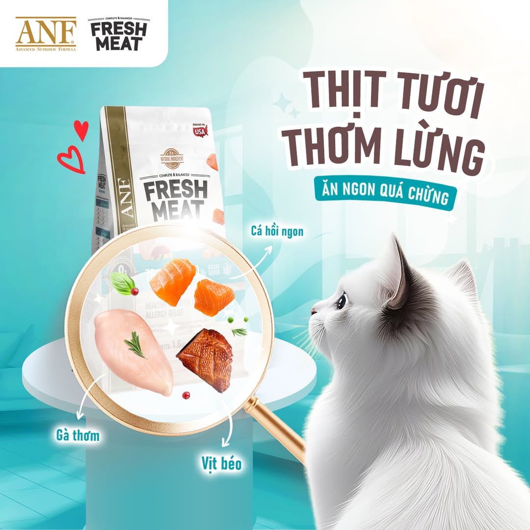 [🆕🇻🇳] ANF Việt Nam – Thức ăn cao cấp dành cho chó mèo sản xuất tại Hàn Quốc 🐶🦜 Top1Pets 🐱🐠 Làm sen khó lắm, phải đâu chuyện đùa
Mua hạt ngon đấy – nhưng phải hợp vị boss cơ!Dành hết tâm huyết tìm hiểu và lựa chọn hạt, chỉ mong mèo cưng có nhữn , shares-1✔️ , likes-18❤️️ , date-2025-08-18 23:04:23🐶🐱🇻🇳🇻🇳🇻🇳📰🆕