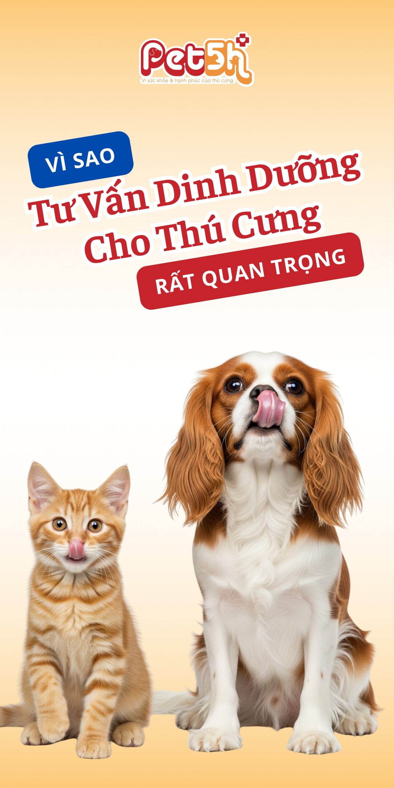 [🆕🇻🇳] LEIDI – Quần áo – Thương hiệu 👕 Top1Fashion 👗  \ud835\udc0d\ud835\udc00\ud835\udc0d \ud835\udc03\ud835\udc2b\ud835\udc1e\ud835\udc2c\ud835\udc2c | LEIDI \nForm \u0111\u1ea7m basic d\u1ec5 \u1ee9ng d\u1e , shares-0✔️ , likes-22❤️️ , date-2025-08-28 21:40:08🇻🇳🇻🇳🇻🇳📰🆕