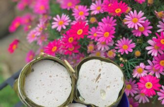 [🆕🇻🇳] BẾP – LÊ GIA – Chuyên các sản phẩm nguyên chất về ong mật 🍔 Top1Food  🍜  Bếp nhận orrder giò chả Thứ Ba (19/8)Thứ Sáu (22/8)
Bánh tráng trộn: 20k/ 1 bịch
Bếp có hũ muối tiêu 200gr: 40k/1 hũ.
Bếp phục vụ giò chả, bánh dày đều , shares-2✔️ , likes-165❤️️ , date-2025-08-18 18:49:46🇻🇳🇻🇳🇻🇳📰🆕