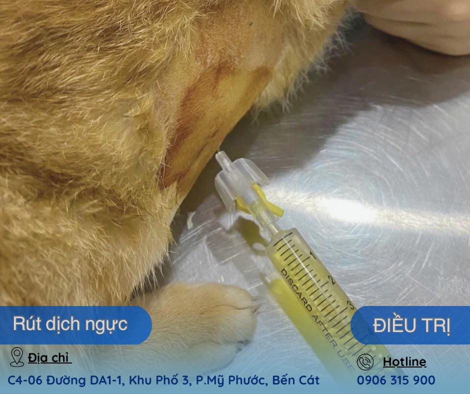 [🆕🇻🇳] Gạo Kids- Tiệm Đồ Đôi & Gia Đình Mẹ Và Bé Hàng Thiết Kế Cao Cấp 🧑‍🧒❤️️👶⭐️ aoa nhà em có mặt khắp moi nơi ạ
, shares-0✔️ , likes-2❤️️ , date-2025-08-21 20:26:04🇻🇳🇻🇳🇻🇳📰🆕