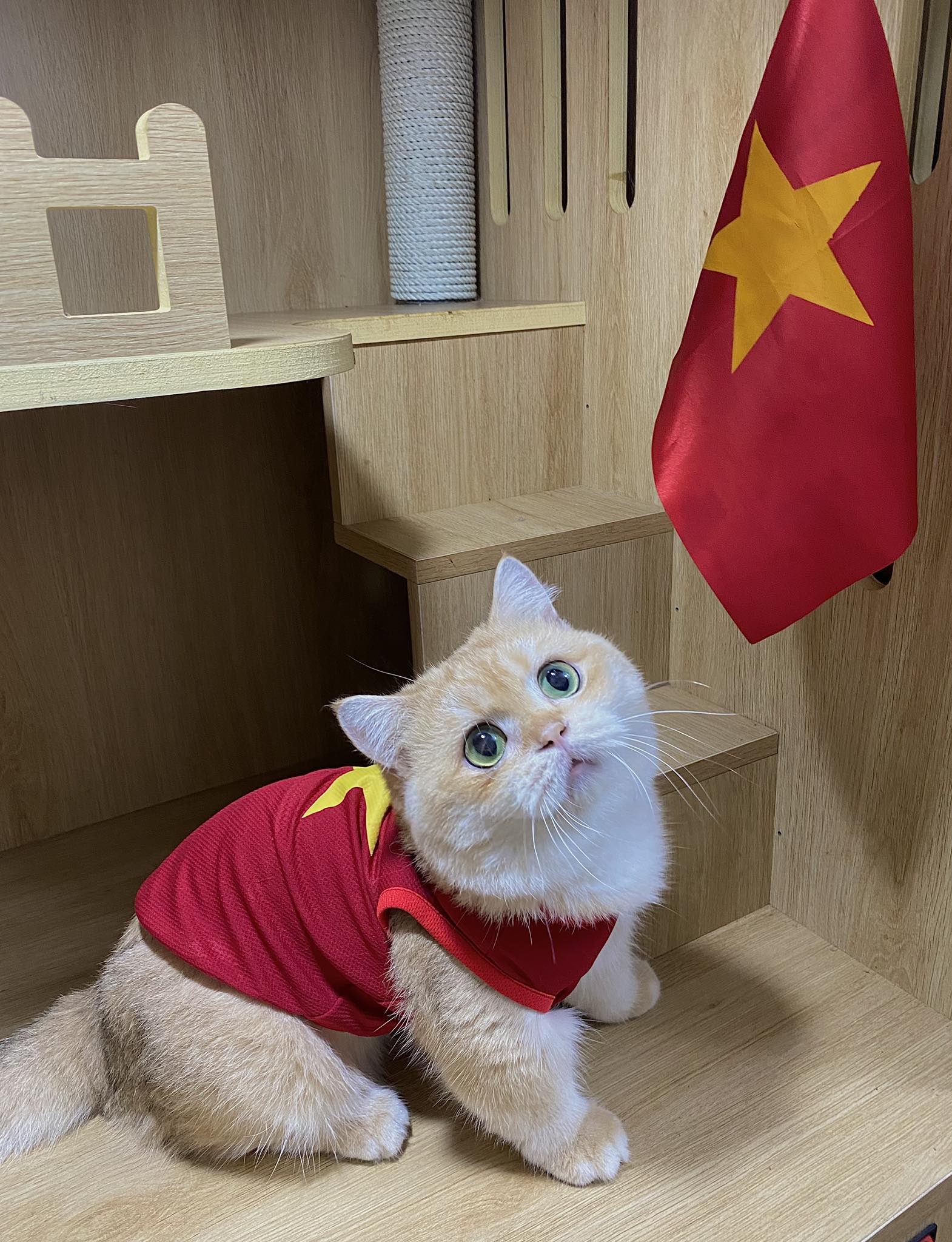 [🆕🇻🇳] Habi Pet – Hotel & Spa cho mèo 🐶🦜 Top1Pets 🐱🐠 + 1 chiếc mèo yêu nước đến từ Habi
TẾT ĐỘC LẬP năm nay các sen nếu có dự định đi chơi hay đi xem Concert Quốc gia thì nhớ đến Habi gửi mèo để đi chơi cho  , shares-3✔️ , likes-15❤️️ , date-2025-08-22 17:48:40🐶🐱🇻🇳🇻🇳🇻🇳📰🆕