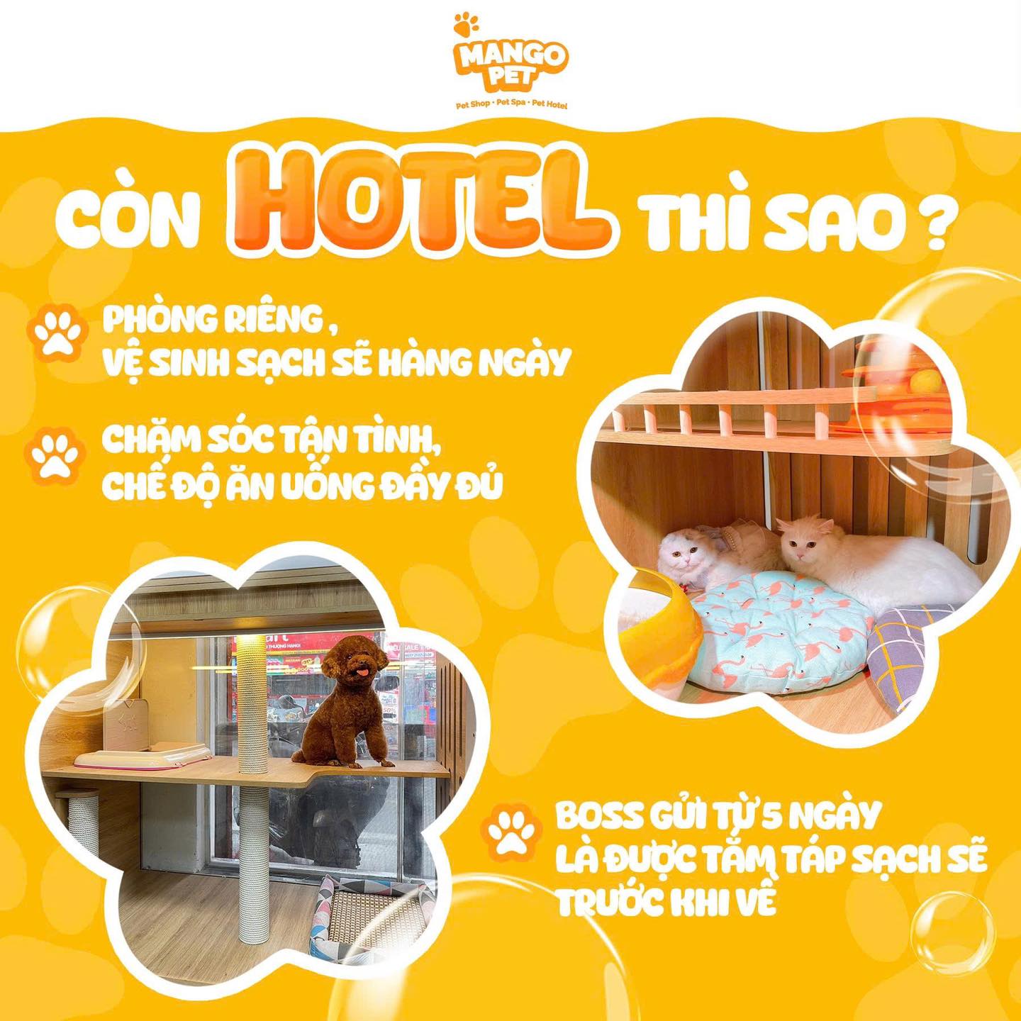 [🆕🇻🇳] Sugar Pie – Spa & Hotel Thú Cưng Cao Cấp 🐶🦜 Top1Pets 🐱🐠 Nôn nao háo hức 2/9 lắm rồi đây bố mẹ ơi, con đi cắt lông chuẩn bị 2/9 đi xem diễu binh
—–
SUGAR PIE – Spa & Hotel thú cưng cao cấp
Đc: 310 Thụy Khuê
G , shares-0✔️ , likes-2❤️️ , date-2025-08-21 18:45:20🐶🐱🇻🇳🇻🇳🇻🇳📰🆕