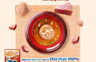 [🆕🇻🇳] Bủm PetShop Nha Trang 🐶🦜 Top1Pets 🐱🐠 Pate silver spoon vị ngon chuẩn Omakase
Pate này nguyên liệu từ thịt thật 100%, với những tiêu chuẩn sản xuất khắt khe của Nhật Bản mà giá lại siêu hời, si , shares-0✔️ , likes-1❤️️ , date-2025-08-29 04:01:59🐶🐱🇻🇳🇻🇳🇻🇳📰🆕