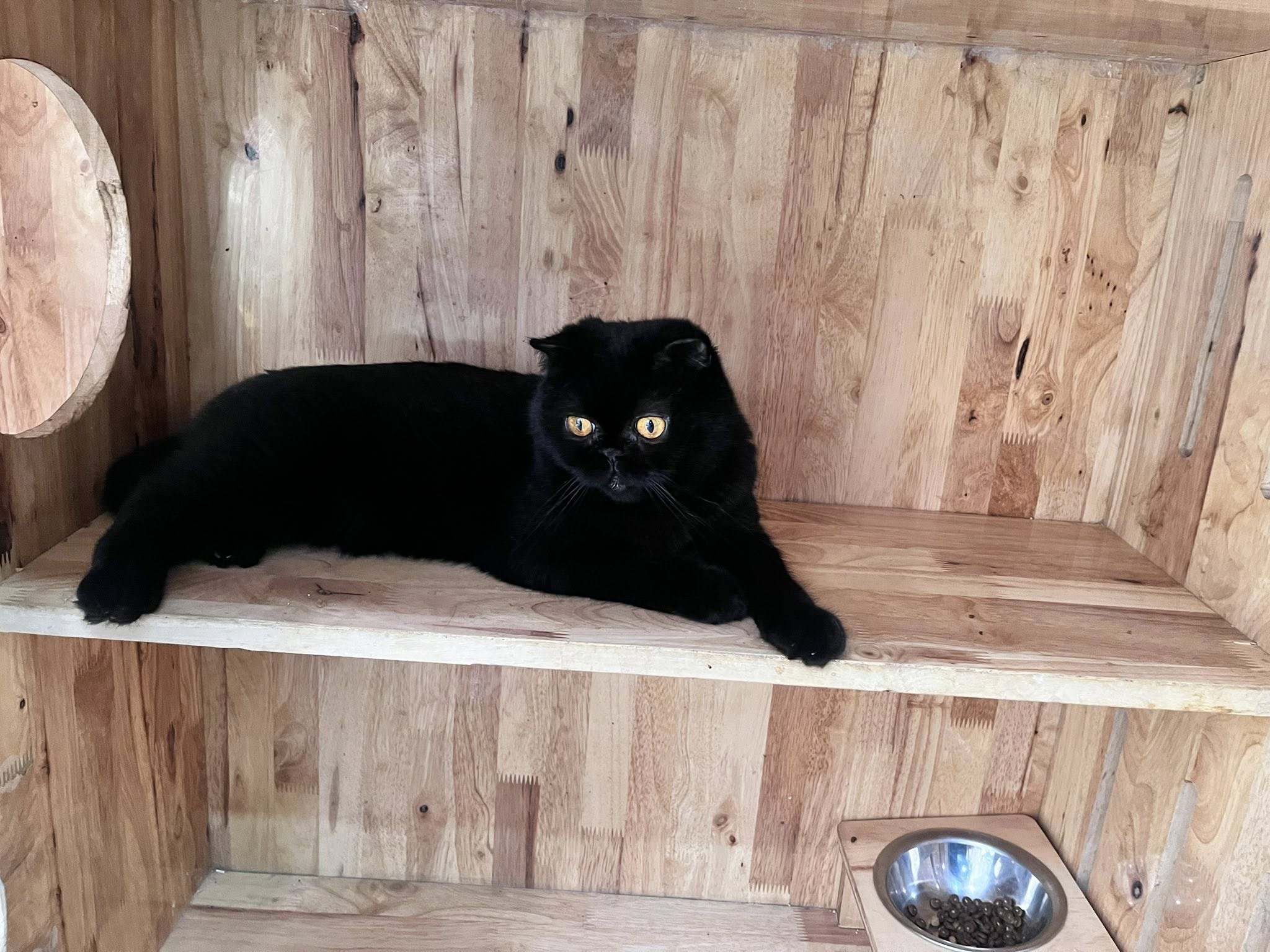 [🆕🇻🇳] Hello Petshop – Thức ăn & Phụ kiện thú cưng 🐶🦜 Top1Pets 🐱🐠  MÕM THỐI? RĂNG VÀNG? BIẾNG ĂN?Hầu hết các chú chó trên 3 tuổi sẽ đều đối mặt với vấn đề về răng miệng.Việc đánh răng cho chúng thì rất khó, thậm chí , shares-0✔️ , likes-3❤️️ , date-2025-08-22 18:23:34🐶🐱🇻🇳🇻🇳🇻🇳📰🆕