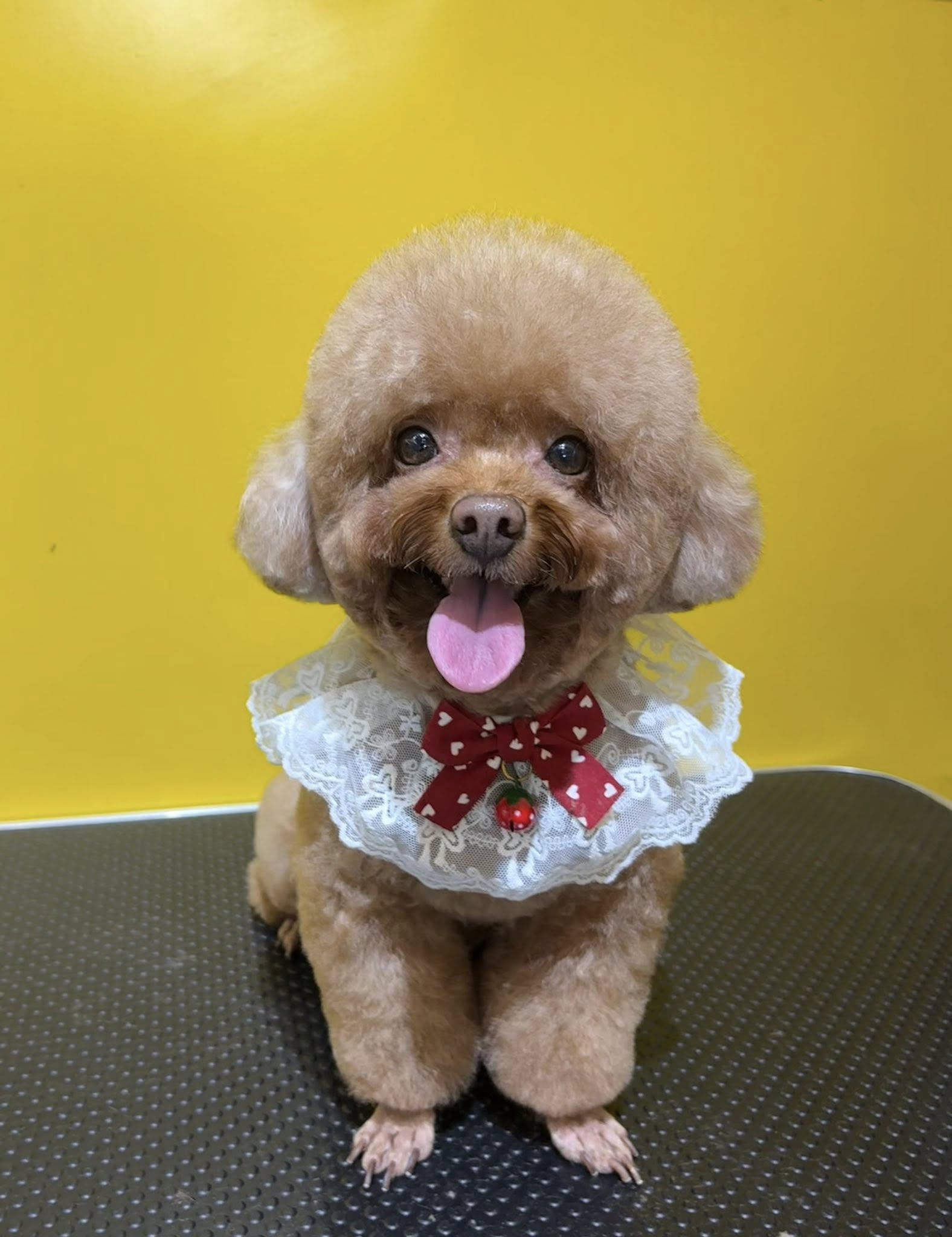 [🆕🇻🇳] Cường HT Pets Spa – Cắt Tỉa Làm Đẹp Thú Cưng 🐶🦜 Top1Pets 🐱🐠  Đến để trải nghiệm dịch vụ tại CƯỜNG HT Pets Spa – Cắt tỉa làm đẹp thú cưng tại Bình Nhâm, Thuận An nhé
Cường Ht cung cấp các dịch vụ :
– TẮ , shares-0✔️ , likes-6❤️️ , date-2025-08-22 16:28:13🐶🐱🇻🇳🇻🇳🇻🇳📰🆕