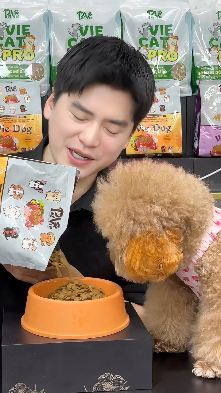 [🆕🇻🇳] Tớ Là Mon Mon 🐶🦜 Top1Pets 🐱🐠 Hạt khiến các bé chó mèo mê mẩn và đẹp xinh lên trông thấy #tolamonmon #hatchomeo #PETVIE #xuhuong , shares-0✔️ , likes-0❤️️ , date-2025-08-22 03:30:47🐶🐱🇻🇳🇻🇳🇻🇳📰🆕