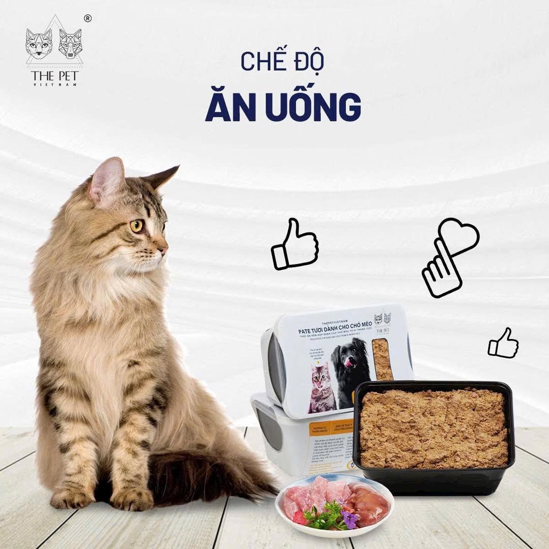 [🆕🇻🇳] PawPaw Petshop – Thức ăn, Phụ kiện & Spa cho thú cưng 🐶🦜 Top1Pets 🐱🐠  Sen có bao giờ thắc mắc: Vì sao các Boss lại cần ăn đồ ướt?Thực tế, mèo vốn có “nguồn gốc từ sa mạc”, bản năng uống nước rất ít. Chính vì vậy, các chuyê , shares-0✔️ , likes-3❤️️ , date-2025-08-28 02:30:22🐶🐱🇻🇳🇻🇳🇻🇳📰🆕