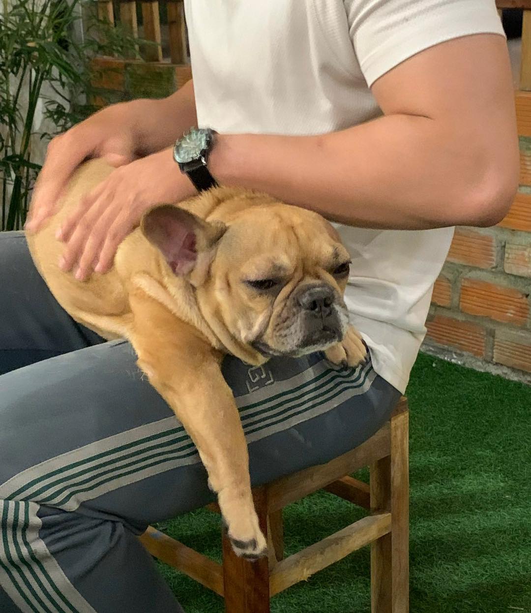 [☕️🇻🇳] DG Pet Garden – Cafe Thú Cưng 🥤 Top1Coffee ☕️ Vất vả cho tôi quá, lại một ngày mới bắt đầu mà vẫn phải đẹp gái hài hước để sống tiếp…
, shares-0✔️ , likes-4❤️️ , date-2025-08-25 15:36:37🇻🇳🇻🇳🇻🇳📰🆕