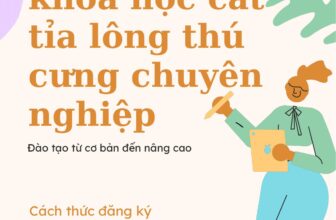 [🆕🇻🇳] Luxury Pet Shop – Luxury Pet Grooming Academy 🐶🦜 Top1Pets 🐱🐠  𝑻𝒖𝒚𝒆̂̉𝒏 𝒔𝒊𝒏𝒉 𝒌𝒉𝒐𝒂́ 𝒉𝒐̣𝒄 𝒄𝒂̆́𝒕 𝒕𝒊̉𝒂 𝒍𝒐̂𝒏𝒈 𝒕𝒉𝒖́ 𝒄𝒖̛𝒏𝒈 𝒄𝒉𝒖𝒚𝒆̂𝒏 𝒏𝒈𝒉𝒊𝒆̣̂𝒑Giáo trình đầy đủ, chuyên nghiệp, bài bản được cập nhật liên tục.
Cơ sở đào tạo  , shares-0✔️ , likes-20❤️️ , date-2025-08-24 22:31:41🐶🐱🇻🇳🇻🇳🇻🇳📰🆕