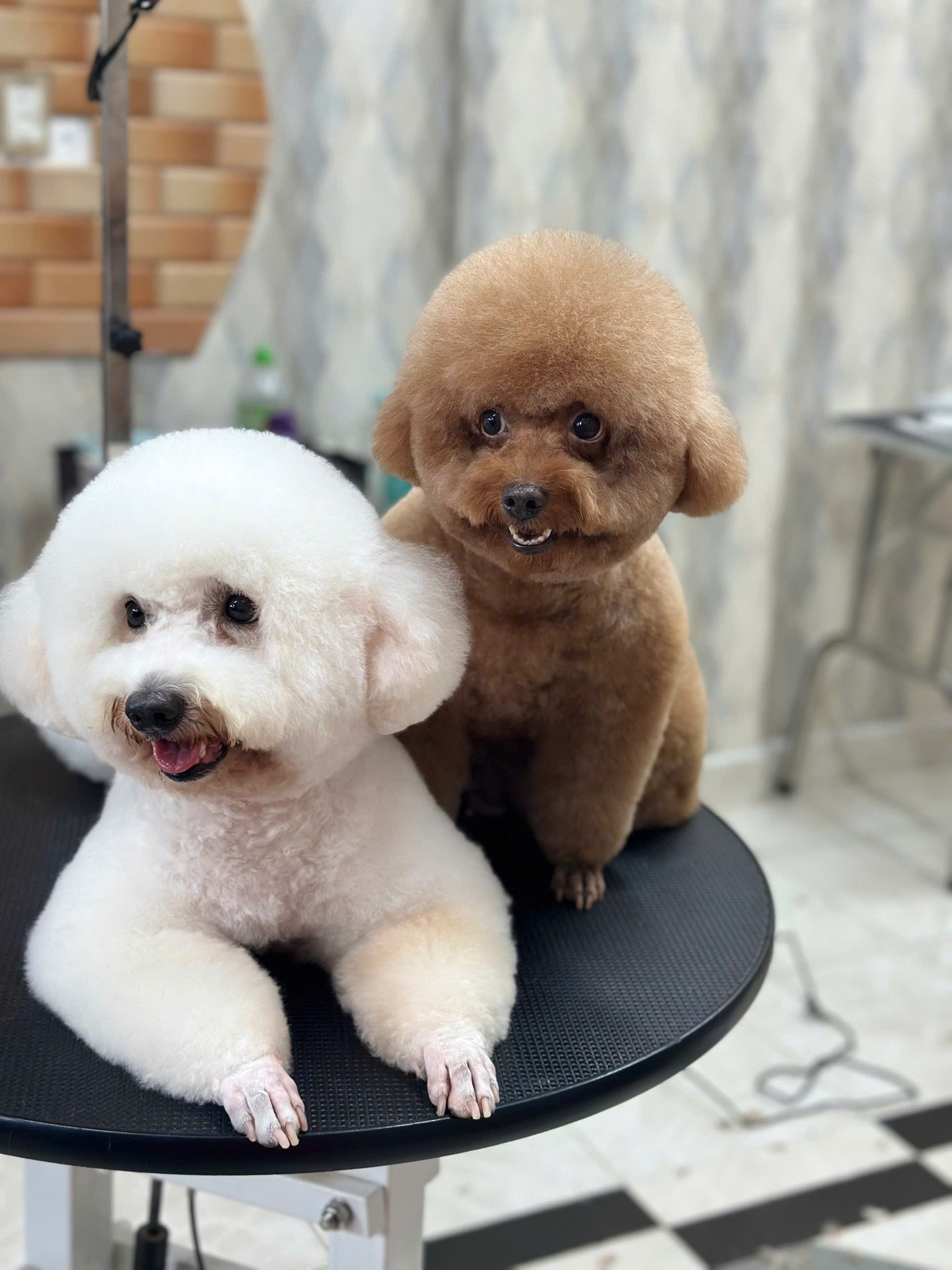 [🆕🇻🇳] G.T.Q Clothing (By Girl’s House) – 𝙒𝙤𝙢𝙚𝙣’𝙨 𝙘𝙡𝙤𝙩𝙝𝙞𝙣𝙜 𝙖𝙣𝙙 𝘼𝙘𝙘𝙚𝙨𝙨𝙤𝙧𝙞𝙚𝙨  👕 Top1Fashion 👗  Thơm lắm nhen mí bà ơi !!!  , shares-0✔️ , likes-1❤️️ , date-2025-08-23 01:24:54🇻🇳🇻🇳🇻🇳📰🆕