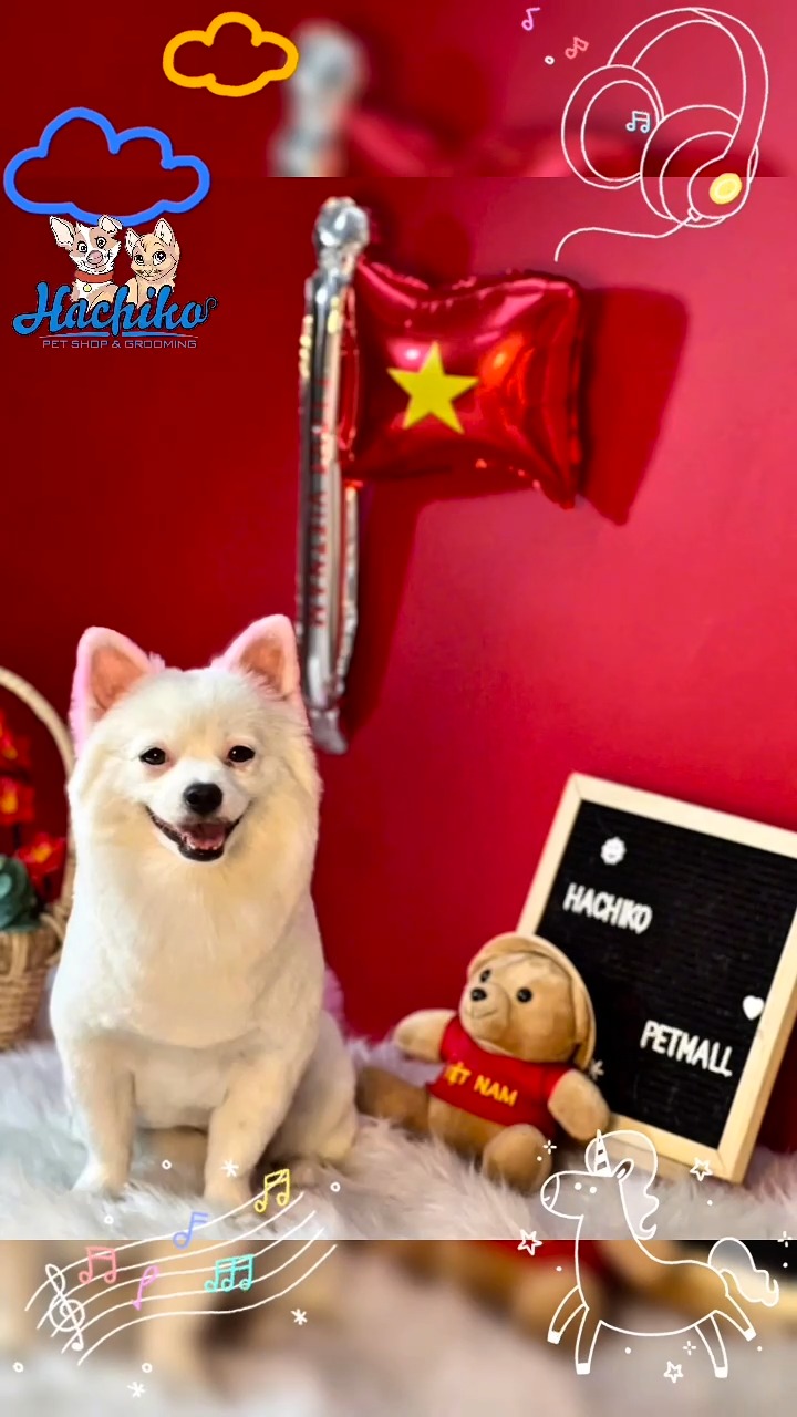 [🆕🇻🇳] Pet Shop Quận 10- Siêu Thị Thú Cưng Hachiko 459 Bà Hạt 🐶🦜 Top1Pets 🐱🐠  , shares-0✔️ , likes-0❤️️ , date-🐶🐱🇻🇳🇻🇳🇻🇳📰🆕