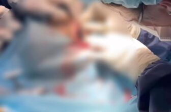 [🆕🇻🇳] ASIA PET Hospital 🐶🦜 Top1Pets 🐱🐠 Bạn thấy gì ở ASIA PET? #AsiaPetHospital #vet , shares-0✔️ , likes-0❤️️ , date-2025-08-25 22:20:56🐶🐱🇻🇳🇻🇳🇻🇳📰🆕