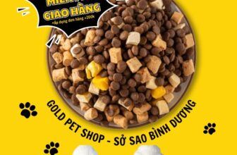 [🆕🇻🇳] Gold Pet Shop – Sở Sao Bình Dương 🐶🦜 Top1Pets 🐱🐠 HẠT MR.VET – GIẢI PHÁP DINH DƯỠNG TOÀN DIỆN CHO MÈO MỌI LỨA TUỔIGold Pet Shop giới thiệu đến các Sen dòng hạt MR.VET Holistic T1, T2 và T3 – lựa chọn hoà , shares-0✔️ , likes-6❤️️ , date-2025-08-26 00:22:07🐶🐱🇻🇳🇻🇳🇻🇳📰🆕