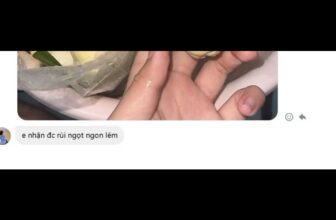 [🆕🇻🇳] Mộng Dừa – Chuyên Sỉ & Lẻ – Modubet Food – Ăn vặt Healthy – Món lạ món ngon- Chuyên Phân phối cung cấp Mộng dừa Bến Tre SLL 🍔 Top1Food  🍜 hihi em r\u1ea5t c\u1ea3m \u01a1n Kh\u00e1ch \u0111\u00e3 tin t\u01b0\u1edfng \u1ea1 !!! \n   M\u1ed9ng ph\u1ea3i ngonnnn t\u01b0\u01a1i m\u1edbi nh\u01b0  , shares-0✔️ , likes-1❤️️ , date-2025-08-27 00:39:16🇻🇳🇻🇳🇻🇳📰🆕