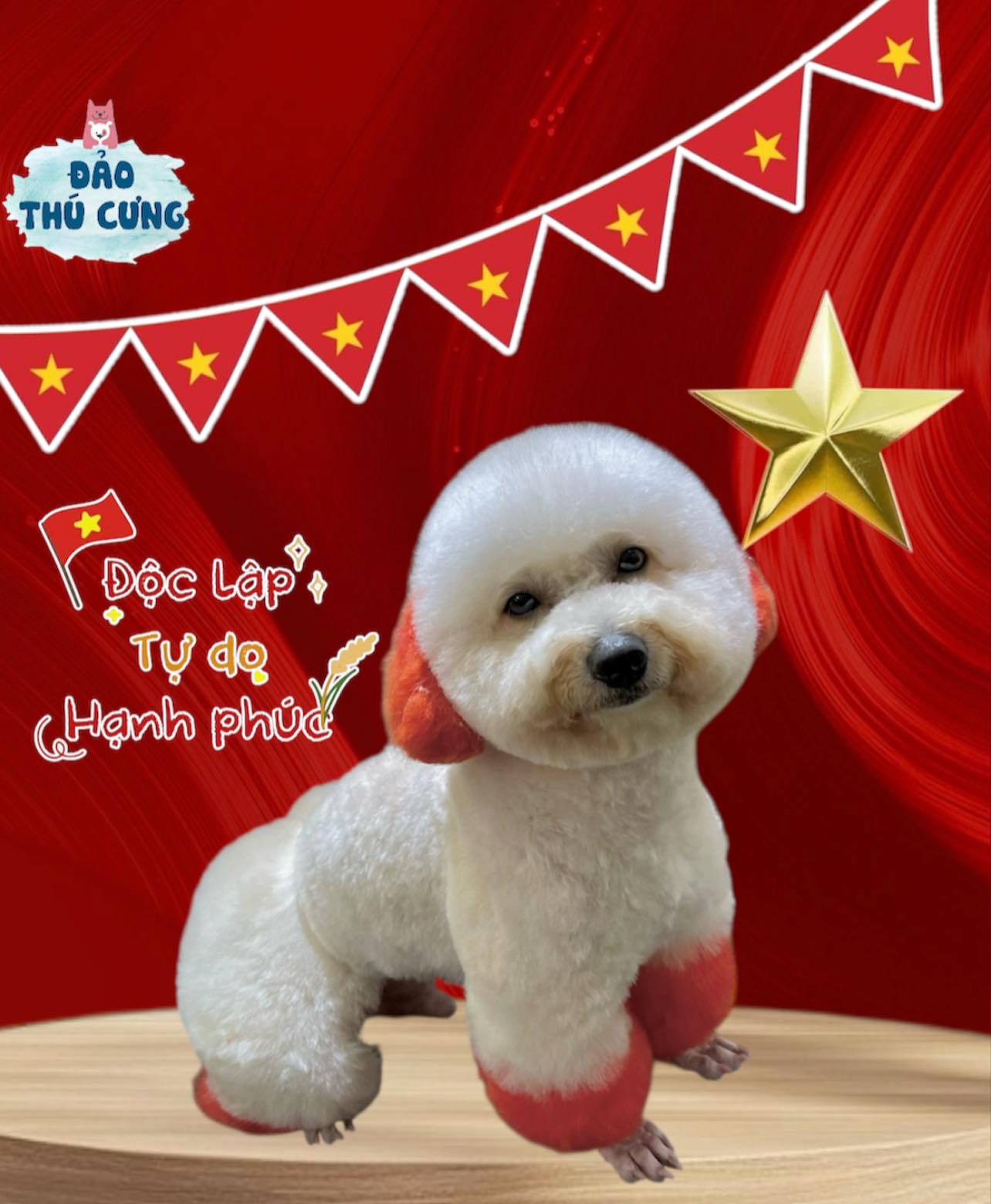 [🆕🇻🇳] Đảo Thú Cưng – Pet Spa 161 Nguyễn Văn Khối, p11, Gò Vấp 🐶🦜 Top1Pets 🐱🐠 𝐓𝐔̛̣ 𝐇𝐀̀𝐎 𝐕𝐈𝐄̣̂𝐓 𝐍𝐀𝐌 – 𝐁𝐎𝐒𝐒 Đ𝐄̣𝐏 𝐇𝐄̂́𝐓 𝐘́!
Đảo Thú Cưng hân hạnh đồng hành cùng những người bạn bốn chân trong dịp lễ đặc biệt này. Với dịch vụ spa chuyên  , shares-0✔️ , likes-2❤️️ , date-2025-08-26 16:00:02🐶🐱🇻🇳🇻🇳🇻🇳📰🆕