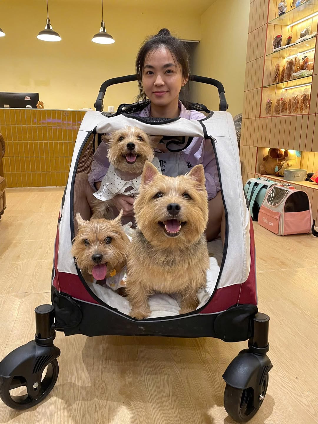 [🆕🇻🇳] Moon’s House 🐶🦜 Top1Pets 🐱🐠 Định chơi trò chó kéo xe, mà giờ chó lên xe hết rồi ai kéo ?
, shares-0✔️ , likes-64❤️️ , date-2025-08-25 03:56:46🐶🐱🇻🇳🇻🇳🇻🇳📰🆕