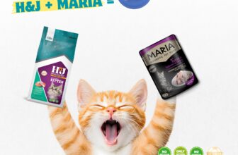 [🆕🇻🇳] BMPet – Premium Choice For Pet 🐶🦜 Top1Pets 🐱🐠  Xử lý mèo kén ăn level max – Sen đã thử chiêu này chưa?Boss nhà bạn có biểu hiện như: Hửi hạt một cái rồi bỏ đi, đưa pate thì lấy chân lấp?
Nếu đúng vậy , shares-0✔️ , likes-121❤️️ , date-2025-08-30 03:10:03🐶🐱🇻🇳🇻🇳🇻🇳📰🆕