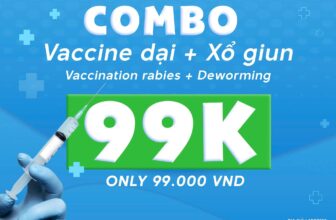 [🆕🇻🇳] Cobi Pet Hospital – Bệnh Viện Thú Y 🐶🦜 Top1Pets 🐱🐠  ĐẲNG CẤP CHĂM SÓC THÚ CƯNG – ƯU ĐÃI LUXURY THÁNG 9Tháng 9 này, COBI PET mang đến hàng loạt ưu đãi đẳng cấp dành riêng cho Boss:𝐒𝐏𝐄𝐂𝐈𝐀𝐋 𝐂𝐎𝐌𝐁𝐎: Vacci , shares-0✔️ , likes-5❤️️ , date-2025-08-29 22:01:18🐶🐱🇻🇳🇻🇳🇻🇳📰🆕