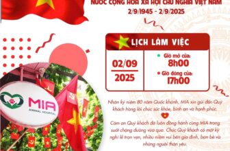 [🆕🇻🇳] MIA Animal Hospital 🐶🦜 Top1Pets 🐱🐠 MIA Animal Hospital đang cảm thấy tự hào tại MIA Animal Hospital.
, shares-0✔️ , likes-10❤️️ , date-2025-08-30 19:51:50🐶🐱🇻🇳🇻🇳🇻🇳📰🆕