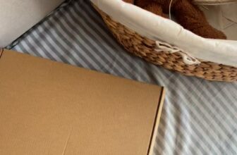 [🆕🇻🇳] Cam Ơi – Tiệm nhỏ có đồ xinh cho em bé nhà mình!! 🧑‍🧒❤️️👶⭐️ Cốc cốc cốc, ở đây có hộp quà xinh cho béRa mắt #giftbox299 và #giftbox499 với giao diện quá ư xinh xắn, nội dung thì chất lượng và đặc biệt kèm cả #fre , shares-0✔️ , likes-0❤️️ , date-2025-08-29 05:07:06🇻🇳🇻🇳🇻🇳📰🆕