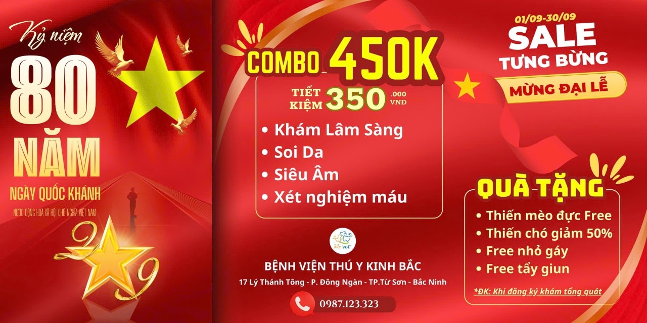 [🆕🇻🇳] Bệnh Viện Thú Y Vetcenter – Hà Nội 🐶🦜 Top1Pets 🐱🐠  LỄ 2/9 SẮP TỚI – ĐI CHƠI, VỀ QUÊ BOSS Ở ĐÂU?
Đừng lo, đã có Khách sạn Thú cưng Vetcenter – nơi boss được chăm sóc như “con cưng chính hiệu”!Bảng giá  , shares-0✔️ , likes-10❤️️ , date-2025-08-27 22:42:13🐶🐱🇻🇳🇻🇳🇻🇳📰🆕