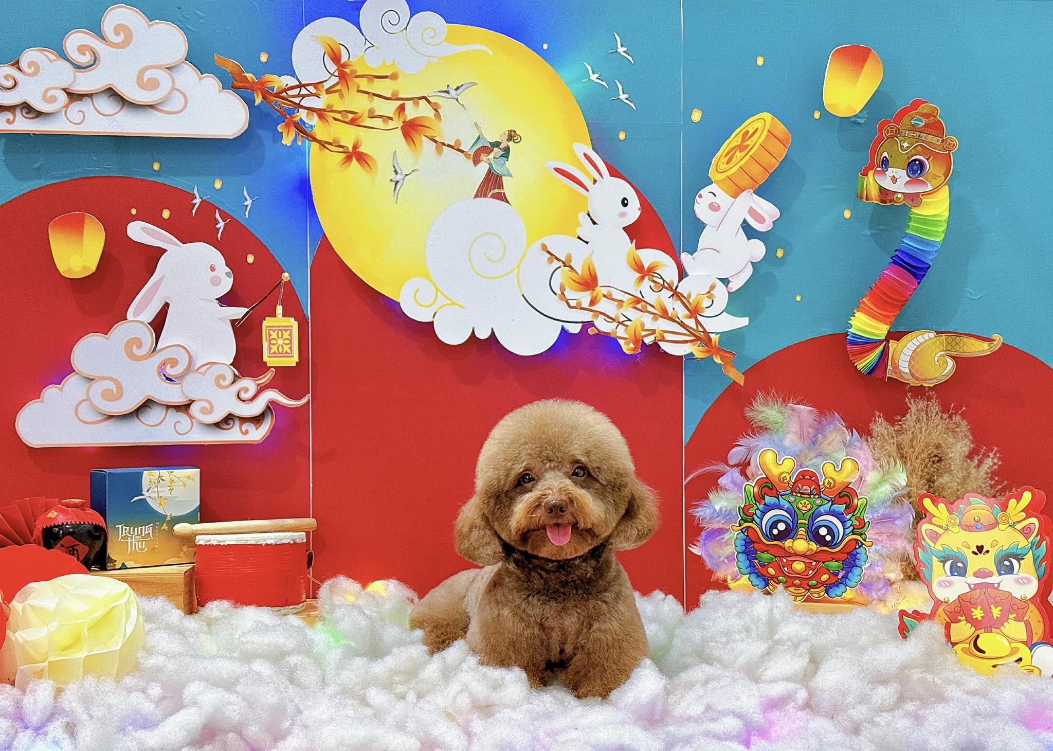 [🆕🇻🇳] RỐT HOUSE – Tiệm Cắt Lông Thú Cưng 🐶🦜 Top1Pets 🐱🐠 Ngồi canh nó chụp hình muốn xĩu
Inb #Rốthouse đặt lịch mần đẹp có ảnh xinh ạ
, shares-1✔️ , likes-3❤️️ , date-2025-08-30 05:37:55🐶🐱🇻🇳🇻🇳🇻🇳📰🆕