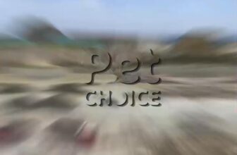 [🆕🇻🇳] PetChoice PetShop  🐶🦜 Top1Pets 🐱🐠 Quy trình sản xuất cát đất sét PetChoice
#PetChoice , shares-0✔️ , likes-0❤️️ , date-2025-08-29 22:46:39🐶🐱🇻🇳🇻🇳🇻🇳📰🆕