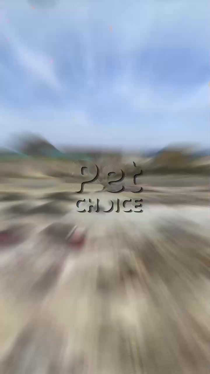 [🆕🇻🇳] PetChoice PetShop  🐶🦜 Top1Pets 🐱🐠 Quy trình sản xuất cát đất sét PetChoice
#PetChoice , shares-0✔️ , likes-0❤️️ , date-2025-08-29 22:46:39🐶🐱🇻🇳🇻🇳🇻🇳📰🆕