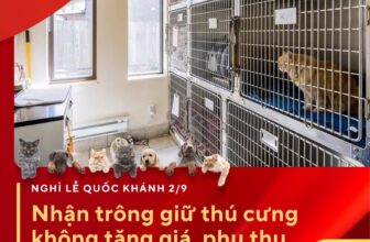 [🆕🇻🇳] Bệnh Viện Thú Y Vetcenter – Hà Nội 🐶🦜 Top1Pets 🐱🐠  LỄ 2/9 SẮP TỚI – ĐI CHƠI, VỀ QUÊ BOSS Ở ĐÂU?
Đừng lo, đã có Khách sạn Thú cưng Vetcenter – nơi boss được chăm sóc như “con cưng chính hiệu”!Bảng giá  , shares-0✔️ , likes-10❤️️ , date-2025-08-27 22:42:13🐶🐱🇻🇳🇻🇳🇻🇳📰🆕