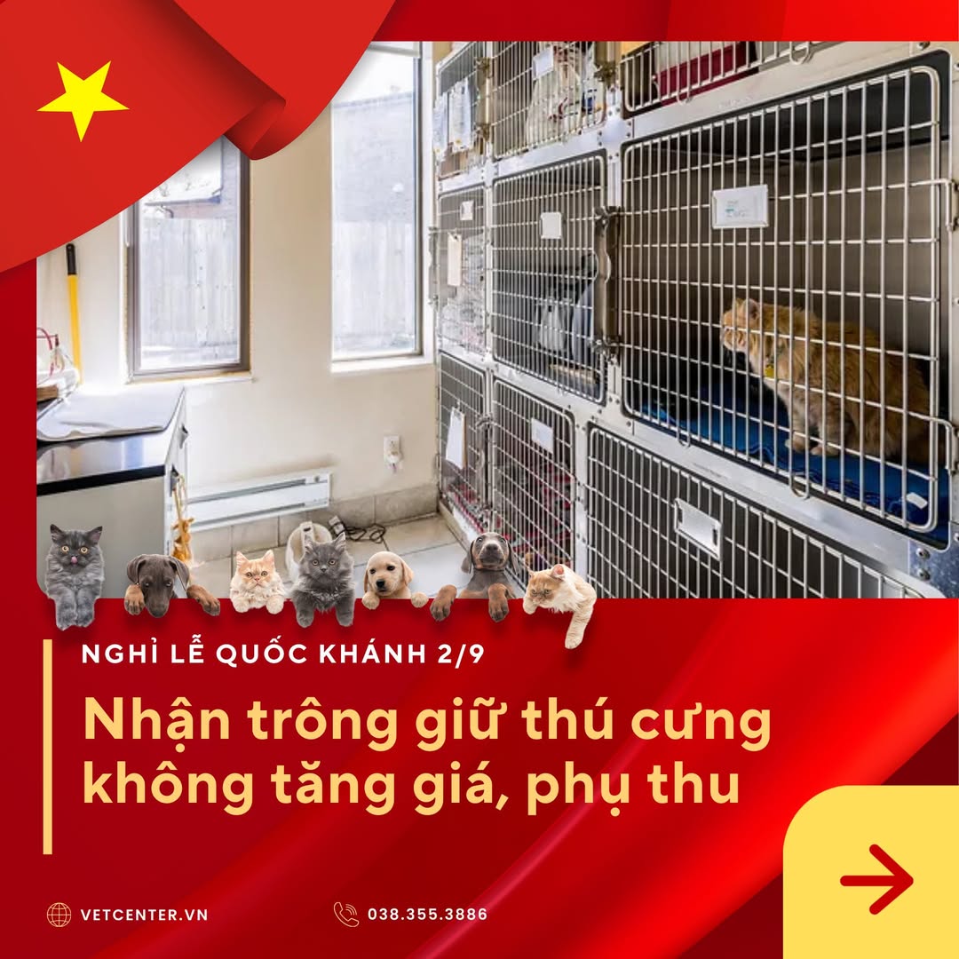 [🆕🇻🇳] Bệnh Viện Thú Y Vetcenter – Hà Nội 🐶🦜 Top1Pets 🐱🐠  LỄ 2/9 SẮP TỚI – ĐI CHƠI, VỀ QUÊ BOSS Ở ĐÂU?
Đừng lo, đã có Khách sạn Thú cưng Vetcenter – nơi boss được chăm sóc như “con cưng chính hiệu”!Bảng giá  , shares-0✔️ , likes-10❤️️ , date-2025-08-27 22:42:13🐶🐱🇻🇳🇻🇳🇻🇳📰🆕
