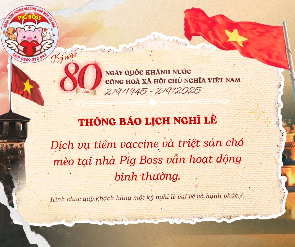 [🆕🇻🇳] Bệnh Viện Thú Y TH Vet Hospital 🐶🦜 Top1Pets 🐱🐠  Có những “em bé bốn chân” đáng yêu đến lạ…
Chú chó nhỏ này đang điều trị tại THvet, dù rất thèm ăn nhưng lại cứ lắc lư, ngó nghiêng rồi chờ… phải có bác s , shares-0✔️ , likes-0❤️️ , date-2025-08-28 07:55:06🐶🐱🇻🇳🇻🇳🇻🇳📰🆕