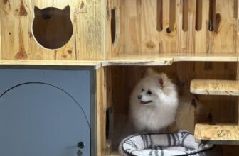 [🆕🇻🇳] Phòng khám Thú Y – Spa Nguyên An Bình 🐶🦜 Top1Pets 🐱🐠 Các Mom cứ đi xem diễu bình hay đi du lịch đi
Các con đã có Phòng Khám lo
Khách sạn – lưu trú sắp đầy r
Các Mom đặt lịch liền để giữ chỗ nháHotline : , shares-0✔️ , likes-317❤️️ , date-2025-08-28 18:47:56🐶🐱🇻🇳🇻🇳🇻🇳📰🆕