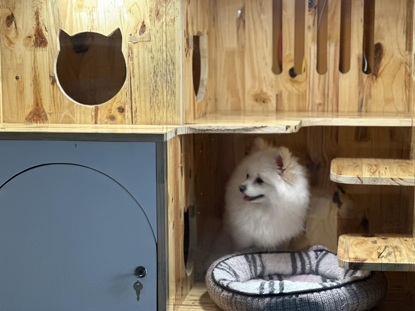 [🆕🇻🇳] Phòng khám Thú Y – Spa Nguyên An Bình 🐶🦜 Top1Pets 🐱🐠 Các Mom cứ đi xem diễu bình hay đi du lịch đi
Các con đã có Phòng Khám lo
Khách sạn – lưu trú sắp đầy r
Các Mom đặt lịch liền để giữ chỗ nháHotline : , shares-0✔️ , likes-317❤️️ , date-2025-08-28 18:47:56🐶🐱🇻🇳🇻🇳🇻🇳📰🆕