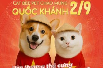 [🆕🇻🇳] Cat Bee Pet – Hotel & Spa Thú Cưng 🐶🦜 Top1Pets 🐱🐠  Cat Bee Pet chào mừng Quốc Khánh 2/9
Ngày lễ thêm rộn ràng khi có những “người bạn bốn chân” đồng hành
Đưa boss đến Cat Bee Pet để được chăm sóc, làm đ , shares-0✔️ , likes-5❤️️ , date-2025-08-29 02:41:38🐶🐱🇻🇳🇻🇳🇻🇳📰🆕