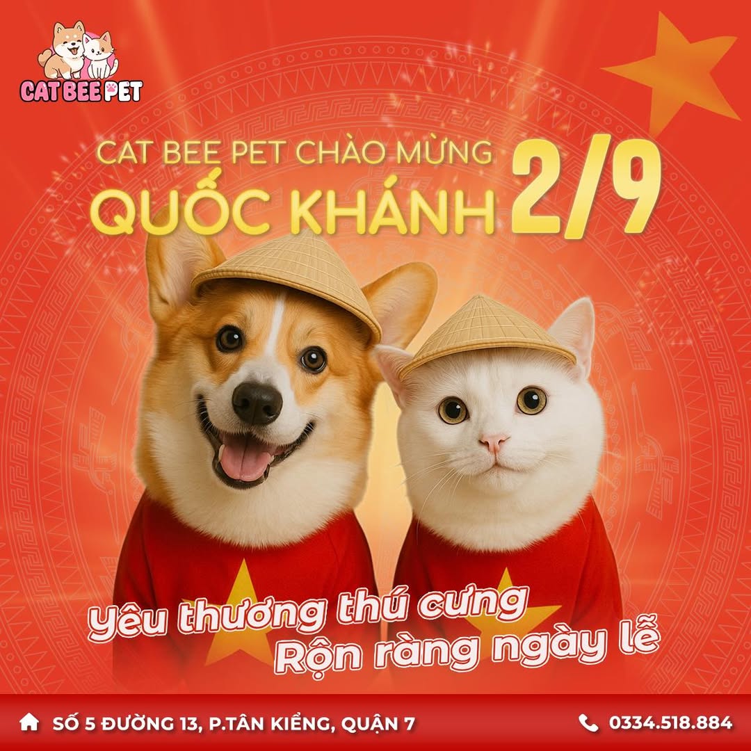 [🆕🇻🇳] Cat Bee Pet – Hotel & Spa Thú Cưng 🐶🦜 Top1Pets 🐱🐠  Cat Bee Pet chào mừng Quốc Khánh 2/9
Ngày lễ thêm rộn ràng khi có những “người bạn bốn chân” đồng hành
Đưa boss đến Cat Bee Pet để được chăm sóc, làm đ , shares-0✔️ , likes-5❤️️ , date-2025-08-29 02:41:38🐶🐱🇻🇳🇻🇳🇻🇳📰🆕