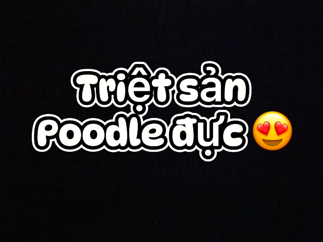 [🆕🇻🇳] Phòng Khám Thú Y Thuận Phát Vet 🐶🦜 Top1Pets 🐱🐠 Bé cún triệt sản đực tại phòng khám thú y thuận phát vet
486 tô ký, phường tân chánh hiệp, quận 12
0836-864-585
#trietsanchomeo,#thuanphatvet, #tiemphongch , shares-0✔️ , likes-2❤️️ , date-2025-08-28 19:18:00🐶🐱🇻🇳🇻🇳🇻🇳📰🆕