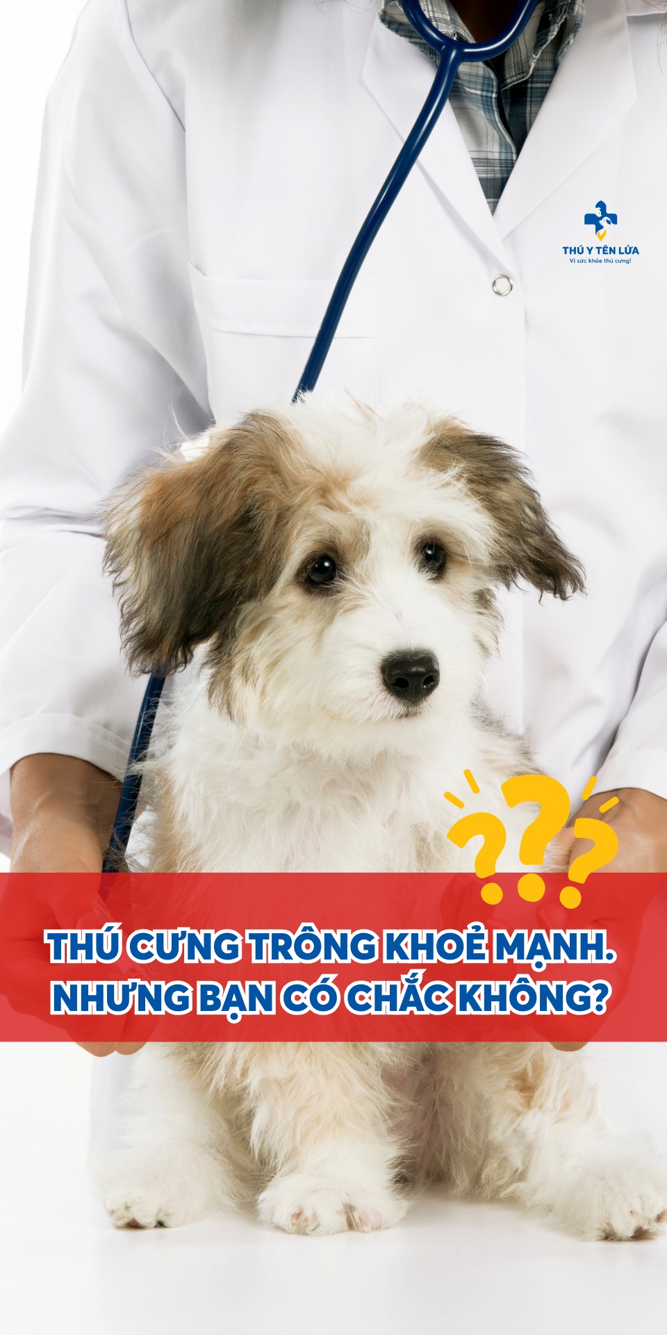 [🆕🇻🇳] Phòng Khám Thú Y Tên Lửa  (Veterinary Clinic Rocket) 🐶🦜 Top1Pets 🐱🐠 Bạn là người hiểu boss nhất? Chắc chắn. Nhưng với vấn đề sức khỏe, hãy tin tưởng vào khoa học Thú Y và những con số biết nói.
Bởi vì bản năng che giấu bệnh , shares-1✔️ , likes-40❤️️ , date-2025-08-28 19:28:59🐶🐱🇻🇳🇻🇳🇻🇳📰🆕