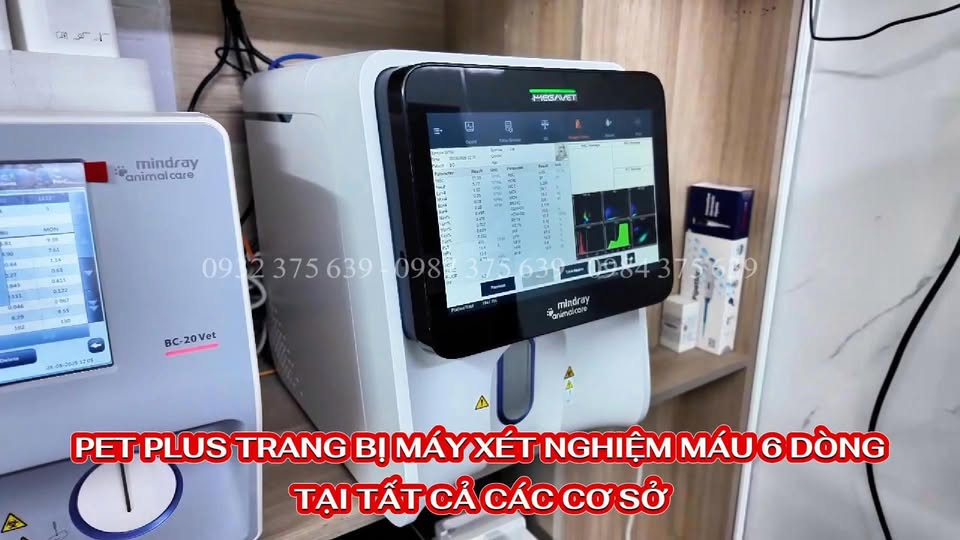 [🆕🇻🇳] PetChoice PetShop  🐶🦜 Top1Pets 🐱🐠 Quy trình sản xuất cát đất sét PetChoice
#PetChoice , shares-0✔️ , likes-0❤️️ , date-2025-08-29 22:46:39🐶🐱🇻🇳🇻🇳🇻🇳📰🆕