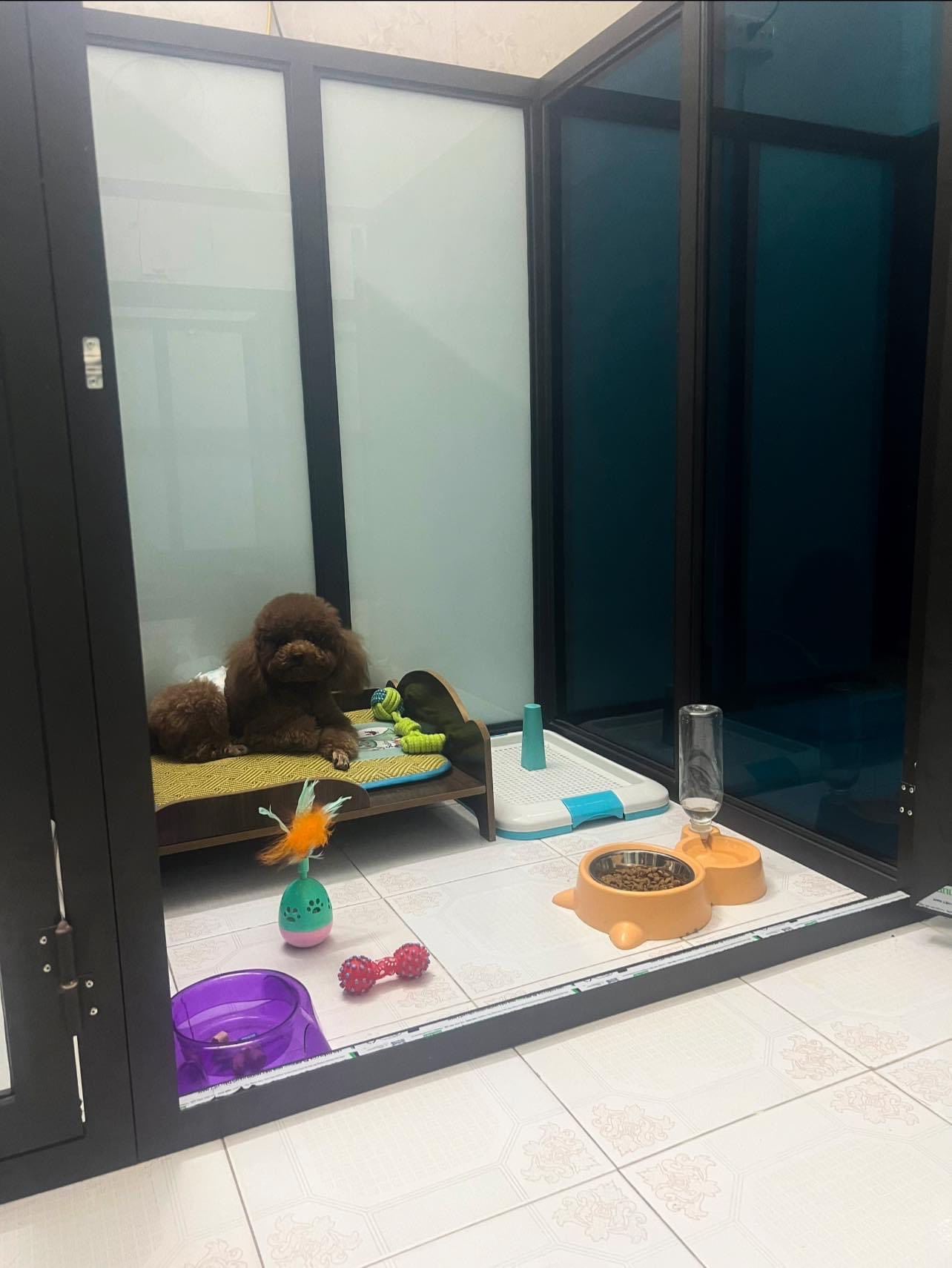 [🆕🇻🇳] KIKI PET 🐶🦜 Top1Pets 🐱🐠 Sẵn sàng phòng ốc! để chào đón các bé dịp nghỉ Đại lễ 2-9  ba mẹ nhé!!!
, shares-0✔️ , likes-5❤️️ , date-2025-08-29 16:44:59🐶🐱🇻🇳🇻🇳🇻🇳📰🆕