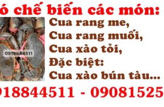 [🆕🇻🇳] Cua Cà Mau _ Ngon _ Chắc Thịt 🍔 Top1Food  🍜 Tết độc lập – 2/9 –Shop có cua đủ loại
Khách có thể đặt trước để yên tâm ăn lễ nhé.
Số phone 0918844511
, shares-0✔️ , likes-0❤️️ , date-2025-09-01 16:49:15🇻🇳🇻🇳🇻🇳📰🆕