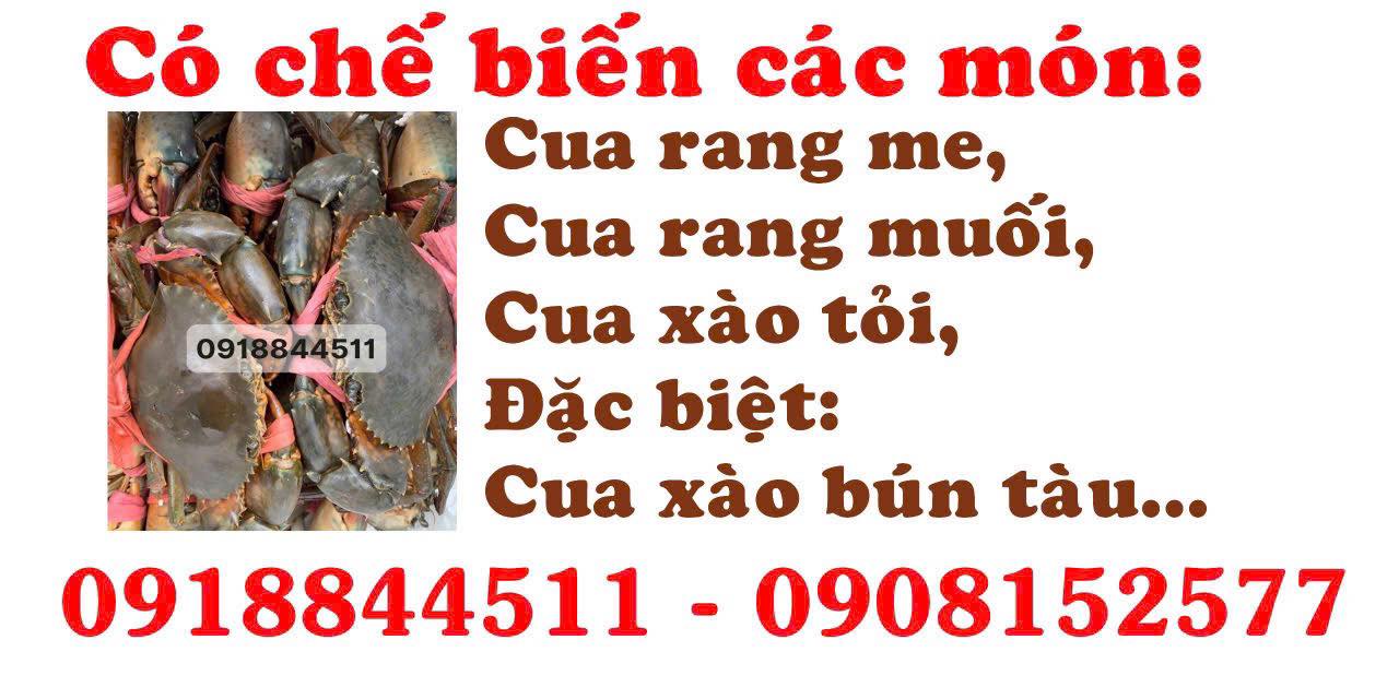 [☕️🇻🇳] Hemo Coffee – Bến Tre 🥤 Top1Coffee ☕️ Khối bạc xỉu đã sẵn sàng khởi động máy phục vụ bà con dịp lễ 2/9
———
Yêu Tổ Quốc
Yêu Đồng Bào
Nhớ yêu em nữa!
, shares-0✔️ , likes-5❤️️ , date-2025-09-01 16:06:21🇻🇳🇻🇳🇻🇳📰🆕