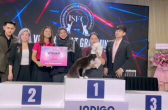 [🆕🇻🇳] Pet Prince 🐶🦜 Top1Pets 🐱🐠 Vietnam Pet Festival – MallPetFest 2025 đã khép lại với 03 ngày sự kiện đầy sôi động. Gian hàng Pet Prince mang đến nhiều hoạt động trải nghiệm, check-in t , shares-0✔️ , likes-16❤️️ , date-2025-08-28 16:15:59🐶🐱🇻🇳🇻🇳🇻🇳📰🆕