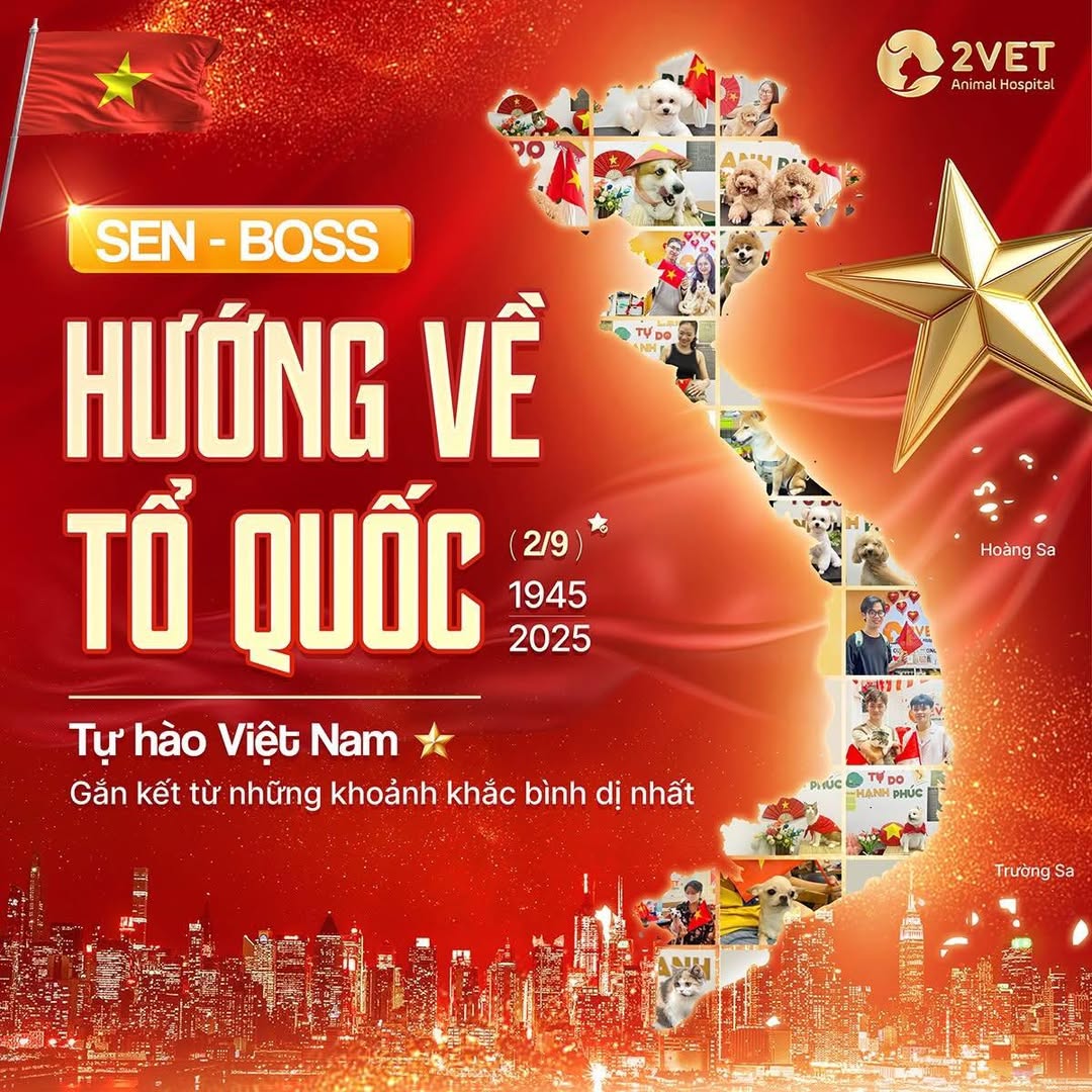 [🆕🇻🇳] Bệnh Viện Thú Y 2VET Long Biên 🐶🦜 Top1Pets 🐱🐠 CẢM ƠN QUÝ KHÁCH HÀNG – CÙNG 2VET VẼ NÊN BẢN ĐỒ TỔ QUỐCTrong suốt những ngày qua (18/8 – 28/8), 2Vet đã thật sự xúc động khi nhận được rất nhiều khoảnh  , shares-0✔️ , likes-2❤️️ , date-2025-08-30 18:29:00🐶🐱🇻🇳🇻🇳🇻🇳📰🆕